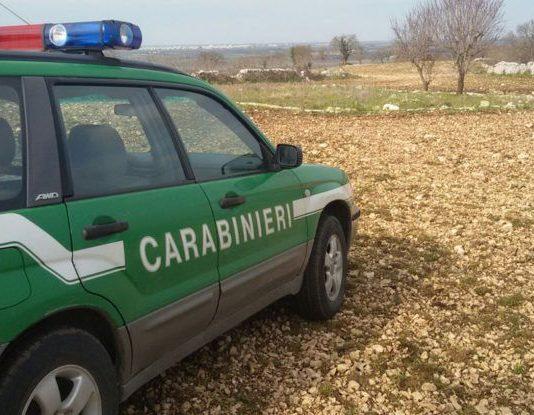 Fucile a un minorenne e colpo esploso: denunciato un cacciatore dopo un video sui social