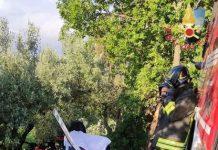 Auto contro albero, muore 39enne