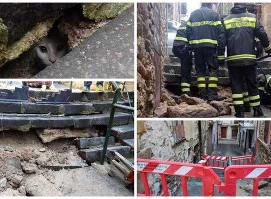 Gatto rimane incastrato dentro scalinata, pompieri smontano gradini