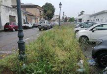 Situazione di degrado e mancata manutenzione del verde pubblico alla Stazione Centrale FS di Gioia Tauro