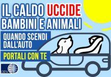 Lasciare un animale in auto al caldo è reato, ma si può rompere il finestrino? Le risposte dell’Oipa