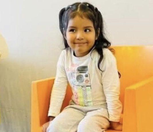 Bambina di 5 anni scomparsa a Firenze: ricerche in corso