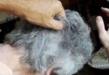 Bastonate alla moglie per aver comprato occhiali nuovi: arrestato 79enne