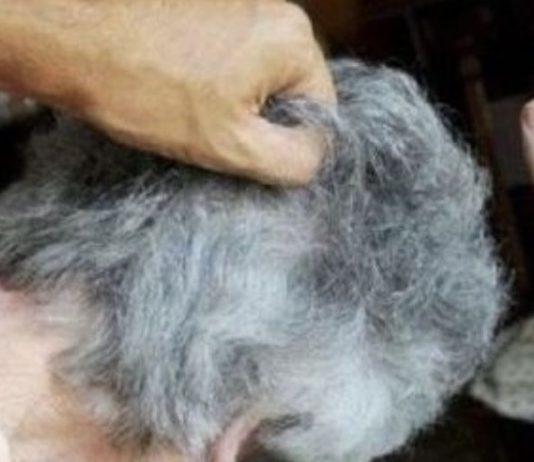 Maltrattamenti alla moglie e violenza sessuale: arrestato 80enne