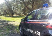 Zambrone, trovato corpo carbonizzato