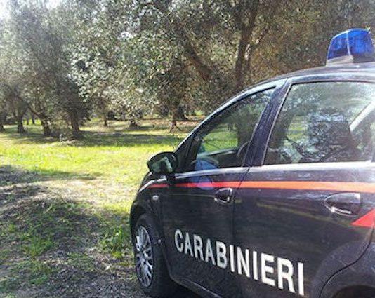 Zambrone, trovato corpo carbonizzato