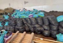 Calabria: scoperta centrale della droga: sequestrati 240 kg di marijuana