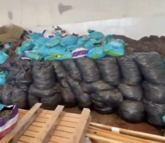 Calabria: scoperta centrale della droga: sequestrati 240 kg di marijuana