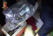 Cinque kg di droga nascosti in frigo da campeggio: arrestata una donna