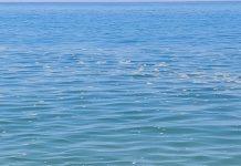 Digiacco: “A stagione inoltrata il mare di San Ferdinando è sporco ed impraticabile”