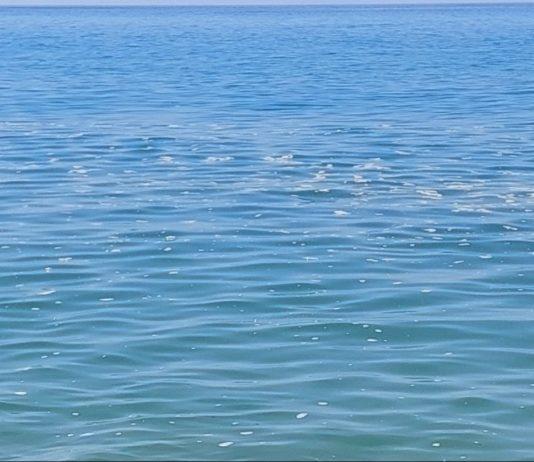 Digiacco: “A stagione inoltrata il mare di San Ferdinando è sporco ed impraticabile”