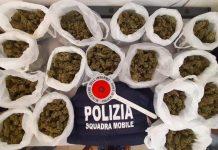 Trovati 1,7 kg di marijuana in un magazzino