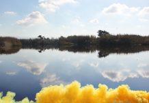 WWF e Comune di San Ferdinando insieme per la riserva del Mesima