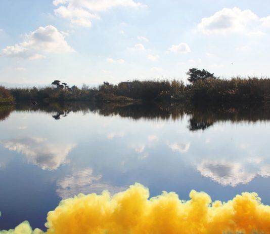 WWF e Comune di San Ferdinando insieme per la riserva del Mesima
