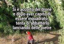 Calabria – Piromane sorpreso ad appiccare incendio tenta di abbattere drone con pietre. Occhiuto: “Tolleranza zero”