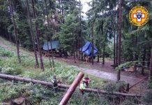 Maltempo al nord – 16enne muore travolta da albero