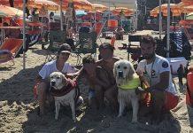 Cuginetti calabresi soccorsi da cani bagnìni