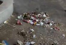 Rosarno – dove non arrivano le istituzioni, arrivano i cittadini: pulita da due ragazze la villa comunale