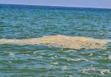 Mare Mostrum, Tavernise : la Regione intervenga sulla mala depurazione Dal rapporto di Legambiente l’immobilismo degli enti per risolvere il problema.