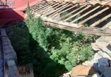 Coltivava marijuana in casa: arrestato 56enne