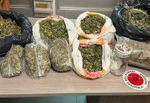 Aveva in casa 10 kg di droga: arrestato 19enne