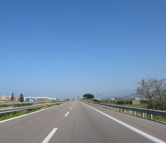 Crolla albero in autostrada – muore automobilista