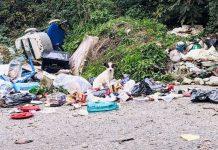 Cagnolino trovato in una discarica a San Procopio: adottato da dronista