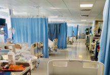 Sanità pubblica, Saccomanno: forte impegno Ministro Salvini e Governo per aumento fondi