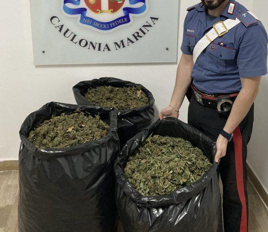 Carabinieri arrestano 4 uomini sorpresi con 23 kg di marijuana