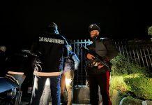 Traffico di droga tra Roma e Rosarno – 12 misure cautelari