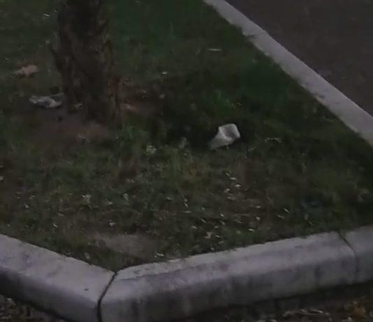 Rosarno – degrado in villa, la denuncia di Aurelio Timpani