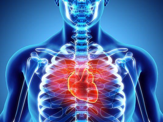 Malattie cardiovascolari, cresce l’incidenza e si confermano prima causa di morte. Si stima un raddoppio della prevalenza della Fibrillazione Atriale entro il 2050