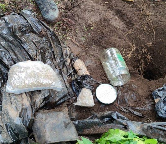 Rosarno – marijuana nascosta sotto terra, arrestato un uomo