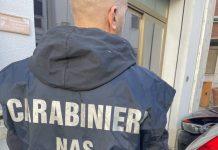 Anziani con scabbia abbandonati tra feci e urine: scoperta casa riposo abusiva a Gallico