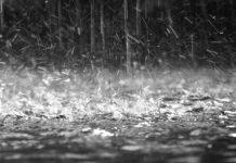 Maltempo – piogge e venti forti al Centro-Sud