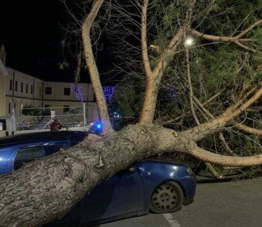 Calabria – raffiche di vento: albero finisce su auto in sosta schiacciandola