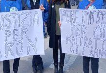 Morto il cane Aron – OIPA presenta denuncia per maltrattamento ed uccisione di animali: inasprire le pene