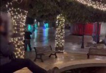 Ragazzina 15enne colpisce gatto con calcio che finisce in una fontana e muore – il video sui social scatena la rabbia