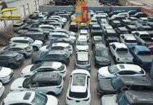 Gioia Tauro: sequestrate 251 autovetture e circa 7.650 dollari trafugati sul territorio canadese