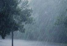 Maltempo in Calabria : vento, pioggia e il ritorno della neve