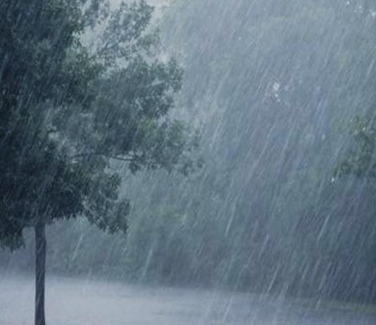 Maltempo in Calabria : vento, pioggia e il ritorno della neve