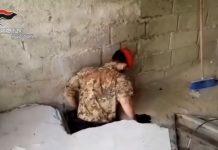 Operazione Perseverant – spaccio di droga tra Taurianova, Rosarno e Platì: 18 indagati