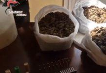 Sequestrati oltre 7 kg di marijuana, pistole e munizioni: arrestato 21enne