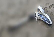 Resti umani sulla spiaggia di Santa Maria di Ricadi – due giorni fa stesso ritrovamento in Campania