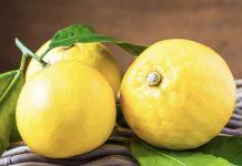 Bergamotto di Reggio Calabria – II giusto riconoscimento ad un prodotto che si identifica con il suo territorio d’origine in maniera inequivocabile