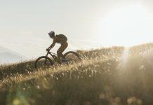Si smarrisce in bici nel Parco Nazionale d’Aspromonte: 28enne ritrovato dai carabinieri forestali
