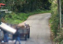 Discariche abusive in strada a Scilla e San Roberto – 16 avvisi di garanzia