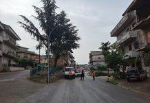 Rosarno – parte di via Provinciale chiusa al traffico per potatura albero pericolante