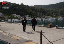 Palmi – Pesce venduto in pessime condizioni – blitz dei carabinieri al mercato ittico e alle bancarelle abusive della Tonnara