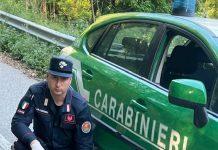 San Giorgio Morgeto – cuccioli in una scarpata salvati da carabinieri forestali